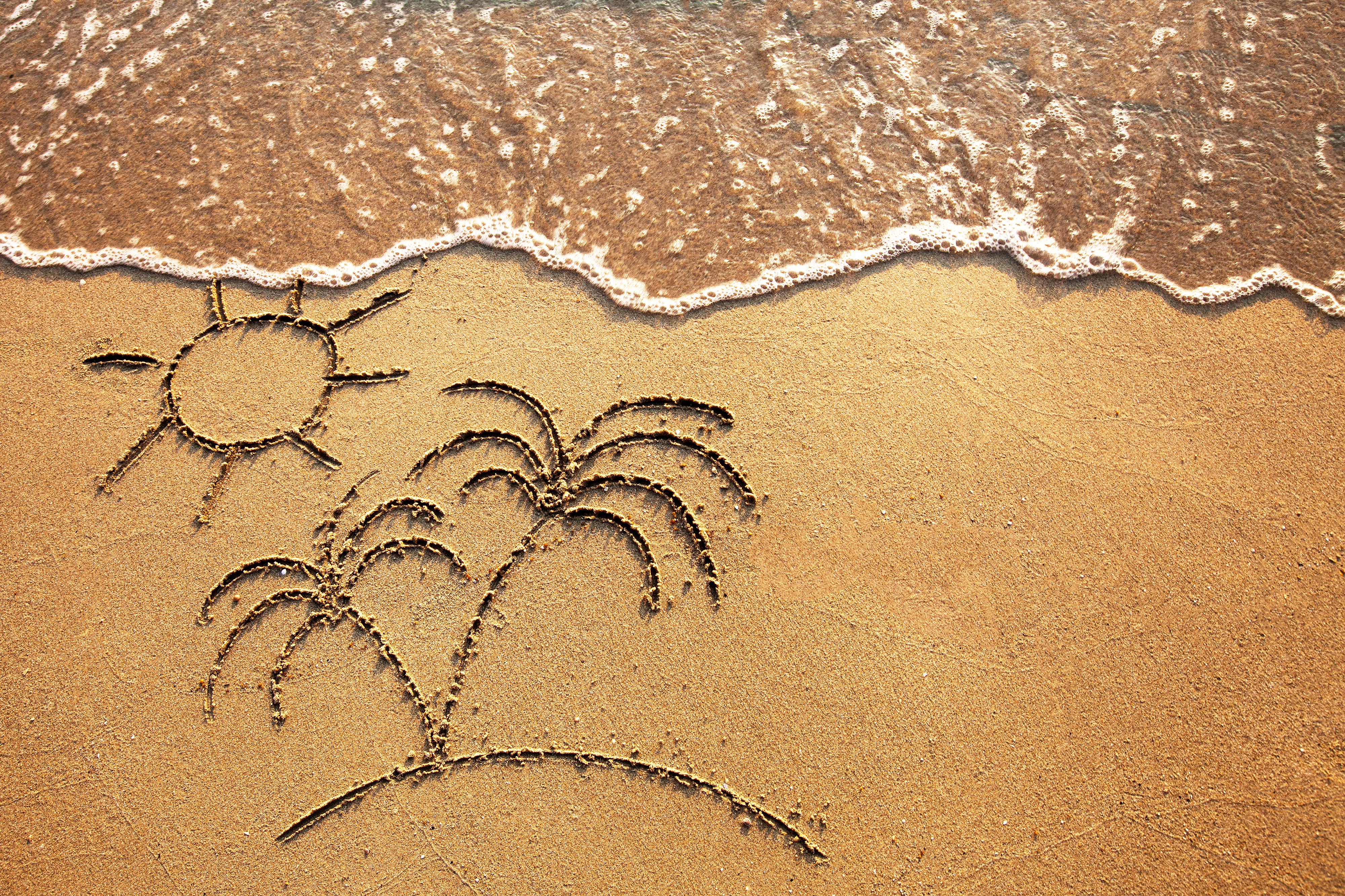 Beach with palm trees drawn in the sand